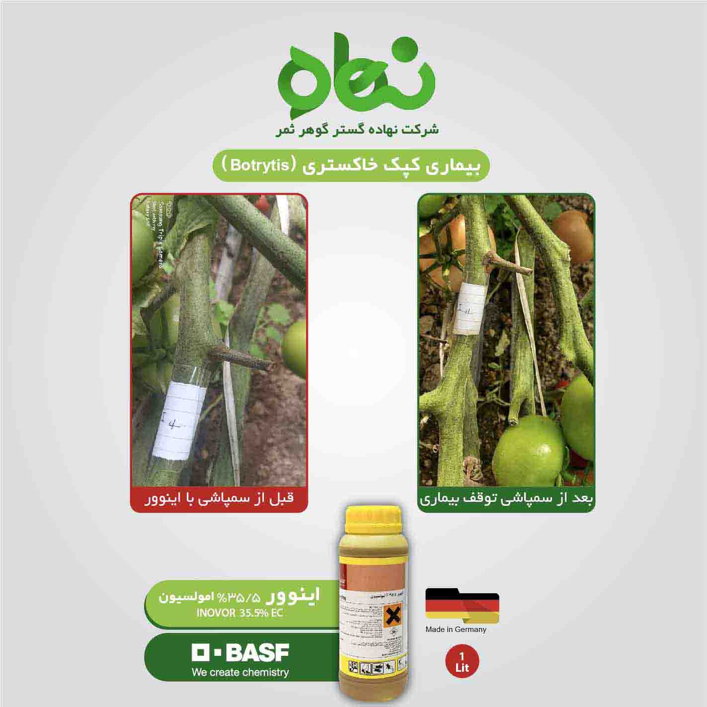 Satisfaction with the use of Inovor in gray mold(1)